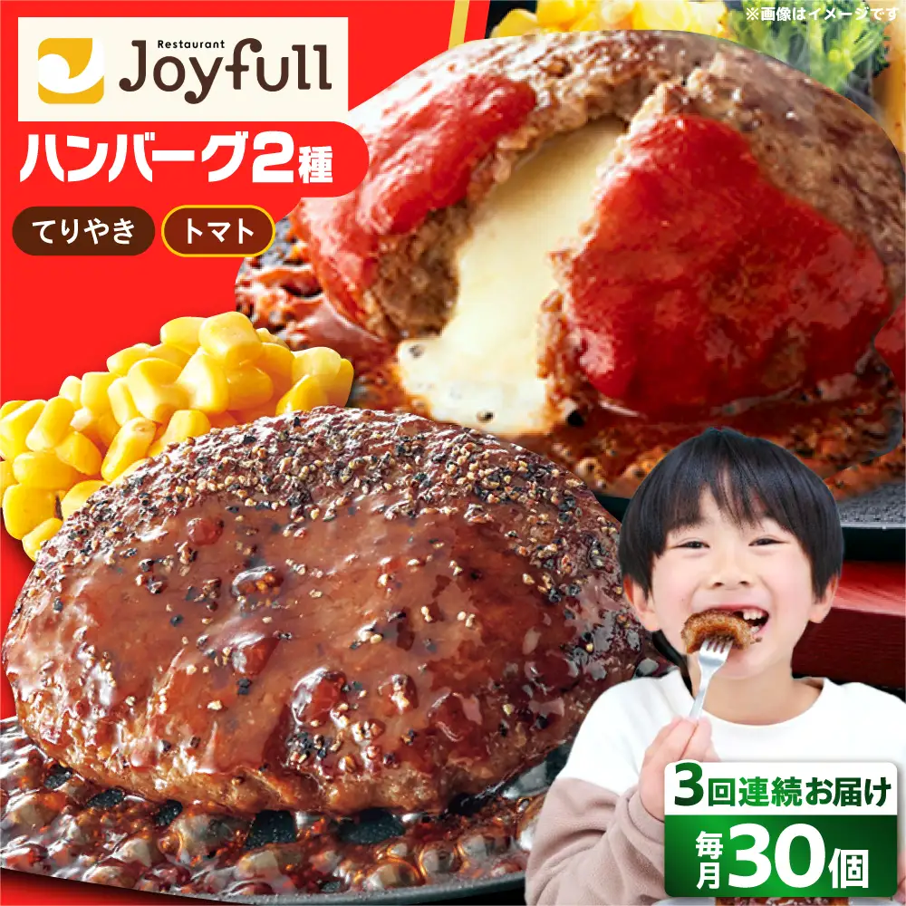 【全3回定期便】ジョイフル ハンバーグ スペシャル 詰め合わせ 2種 30個 セット [ABAA078]