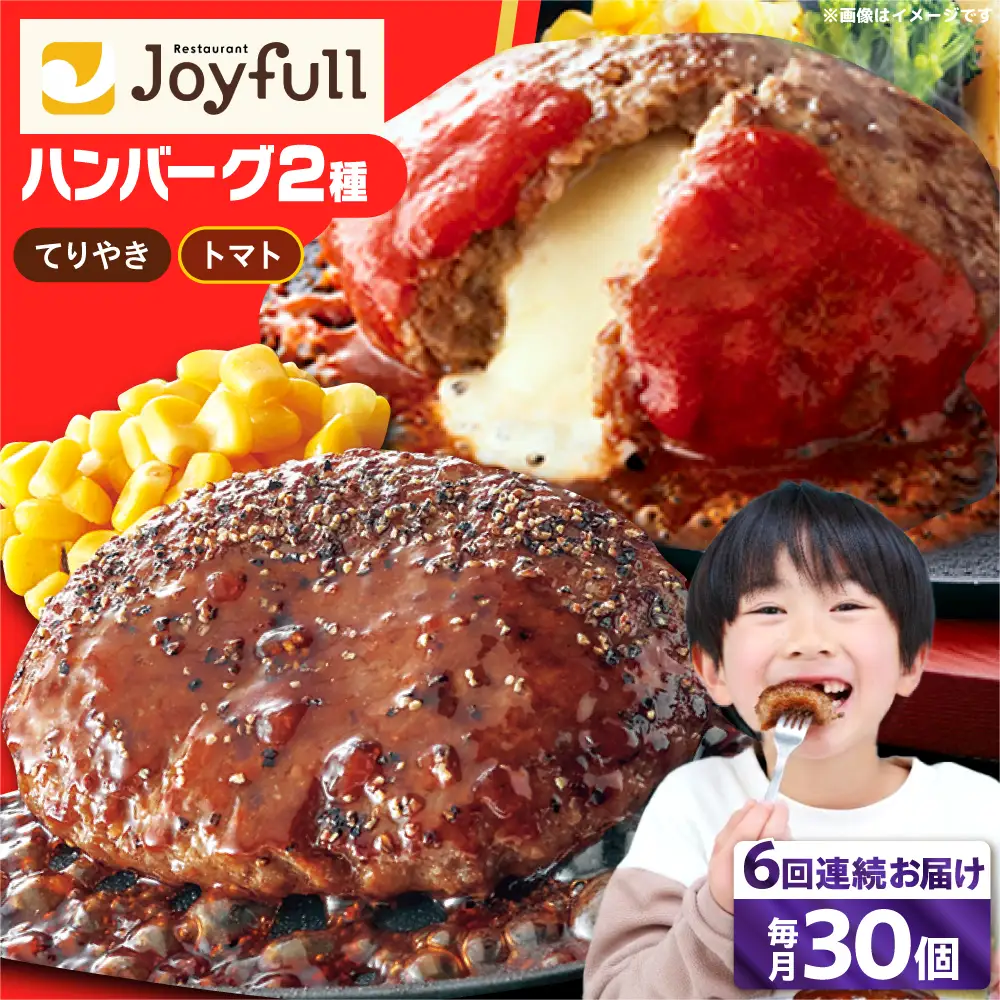 【全6回定期便】ジョイフル ハンバーグ スペシャル 詰め合わせ 2種 30個 セット [ABAA079]