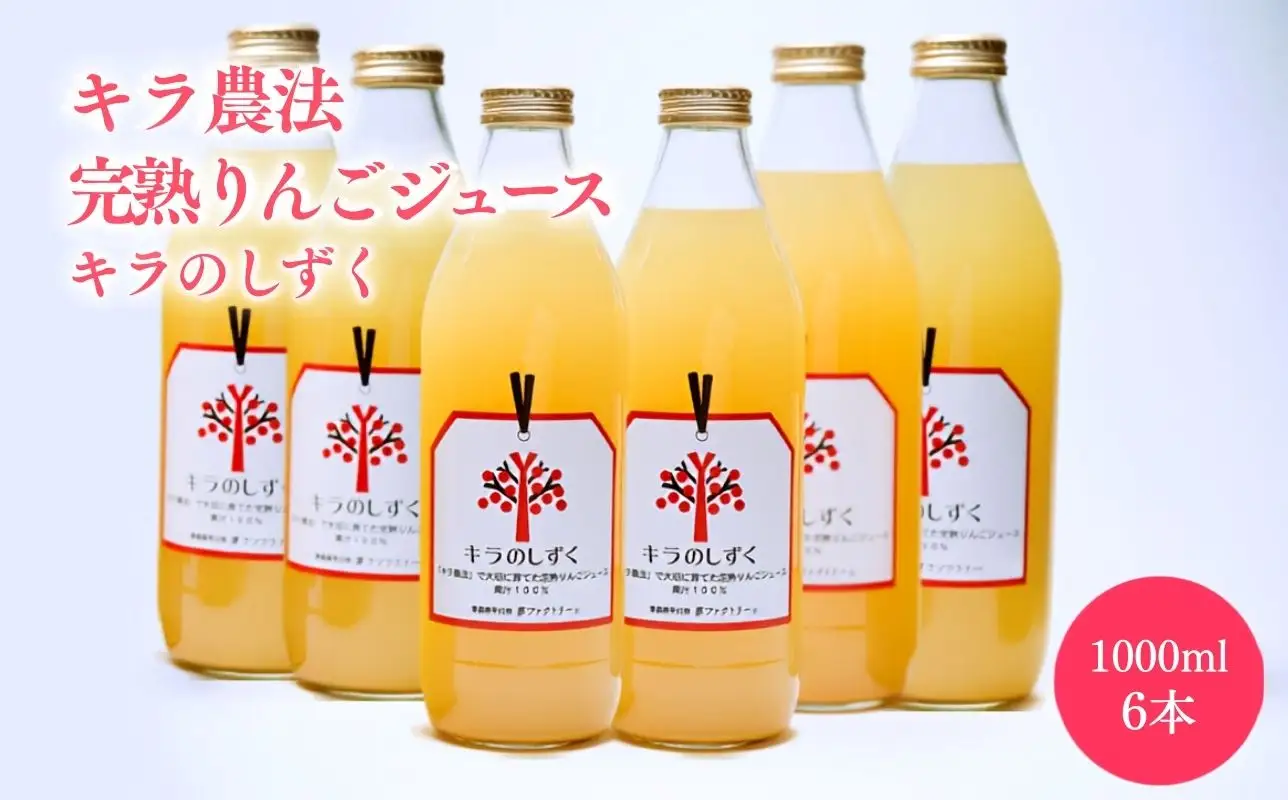 青森県産　完熟りんごジュース 1L×6本[hi-0008-016]
