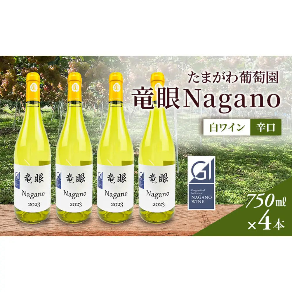 ワイン　竜眼Nagano　【GI長野】認定　750ｍｌ×4本 | ワイン 竜眼 白ワイン 辛口