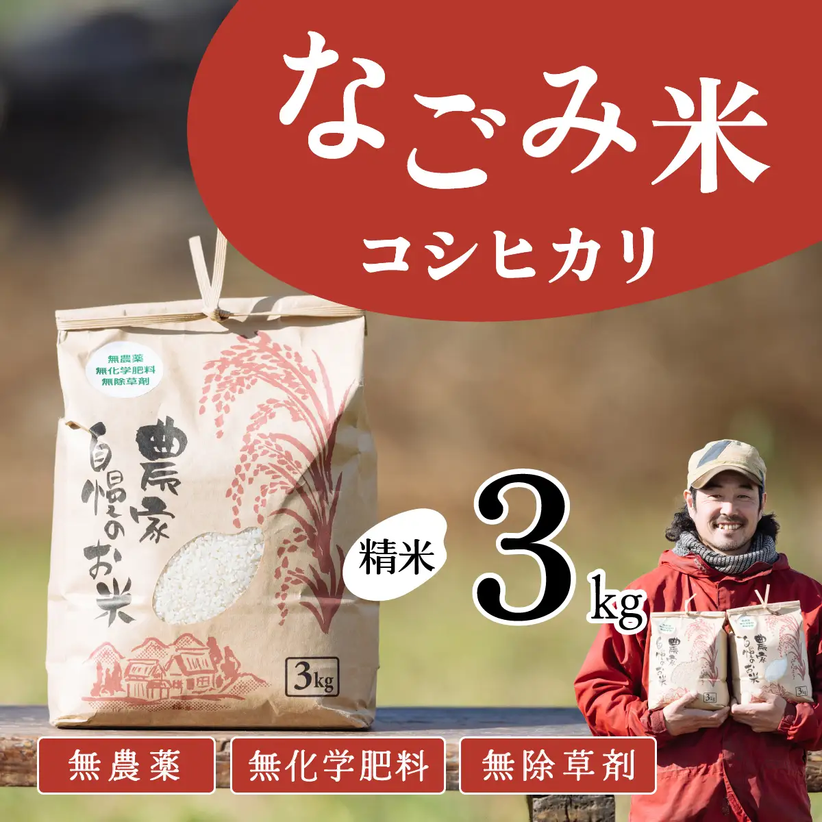 【10月発送】茨城県下妻市産 なごみ米 （ コシヒカリ ） 精米 3kg 【 お米 コシヒカリ 米 無農薬 無化学肥料 無除草剤 精米 ブランド米 茨城県産 】