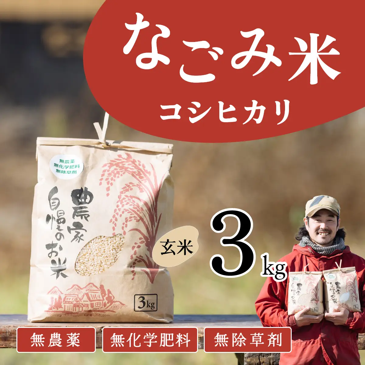 【10月発送】茨城県下妻市産 なごみ米 （ コシヒカリ ） 玄米 3kg 【 お米 コシヒカリ 米 無農薬 無化学肥料 無除草剤 玄米 ブランド米 茨城県産 】