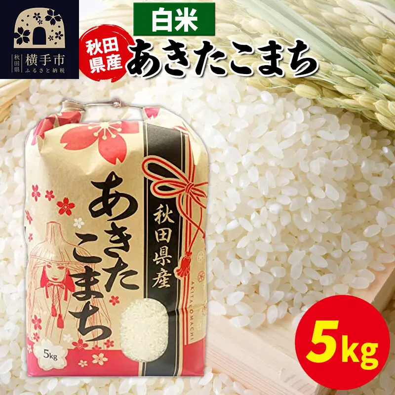 あきたこまち 5kg×1袋【白米】令和7年産 秋田県産 こまちライン