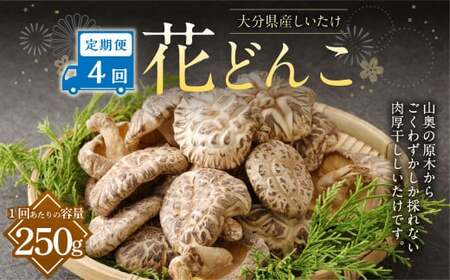 【4ヶ月定期便】大分産しいたけ花どんこ 250g 合計1,000g 乾燥椎茸 乾燥 しいたけ 干し椎茸 乾し椎茸 乾燥野菜 原木どんこ 花どんこ 大分県 九重町