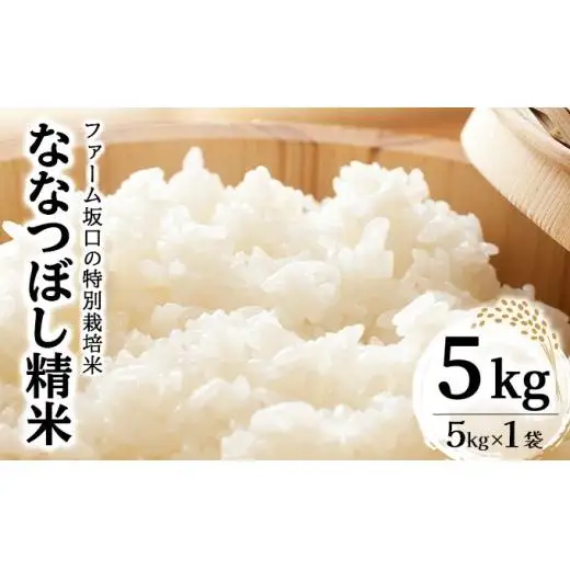 《令和 7 年産》お米 ななつぼし精米 5kg｜米 精米 北海道 岩 見沢市 ファーム坂口の特別栽培米