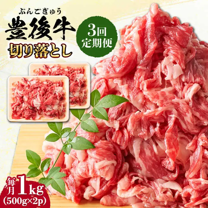【全3回定期便】【小分けで便利！】おおいた豊後牛 牛肉 切り落とし 1kg (500g×2) 牛肉切り落とし 豊後牛 [AREI044]