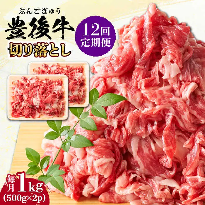 【全12回定期便】【 小分けで便利！】おおいた豊後牛 牛肉 切り落とし 1kg (500g×2) 牛肉切り落とし 豊後牛[AREI046]