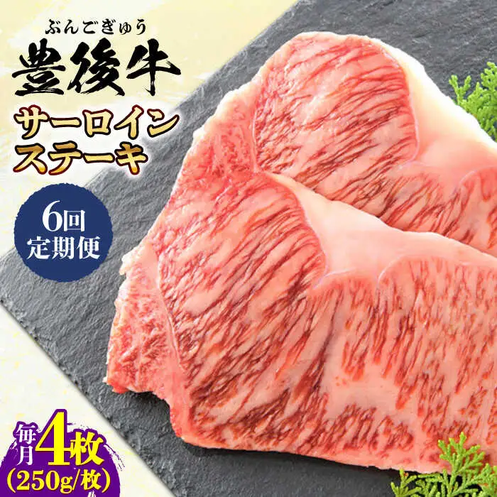 【全6回定期便】おおいた豊後牛 サーロインステーキ 1kg (250g×4枚) サーロインステーキ[AREI060]