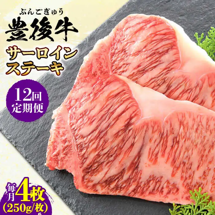 【全12回定期便】おおいた豊後牛 サーロインステーキ 1kg (250g×4枚) サーロインステーキ[AREI061]