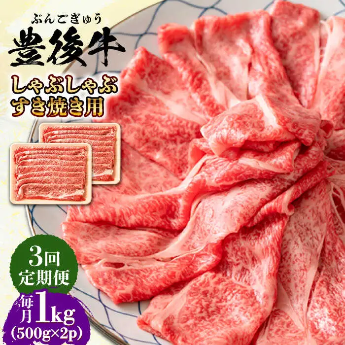 【全3回定期便】おおいた豊後牛 しゃぶしゃぶすき焼き用 (肩ロース・肩バラ・モモ)1kg(500g×2) 日田市 黒毛和牛 牛肉 豊後牛 しゃぶしゃぶ すき焼き [AREI074]