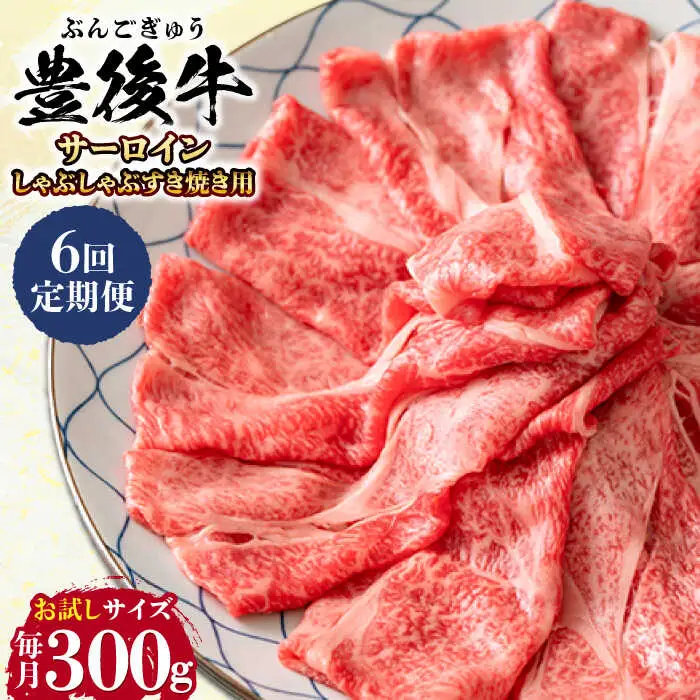 【全6回定期便】【厳選部位】おおいた豊後牛 サーロイン しゃぶしゃぶすき焼き用 300g 日田市 黒毛和牛 サーロイン 牛肉 豊後牛 しゃぶしゃぶ すき焼き [AREI081]