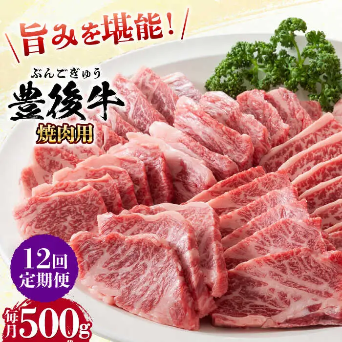 【全12回定期便】おおいた豊後牛 焼肉用 500g 赤身 モモ 焼肉  冷凍 豊後牛 BBQ[AREI100]