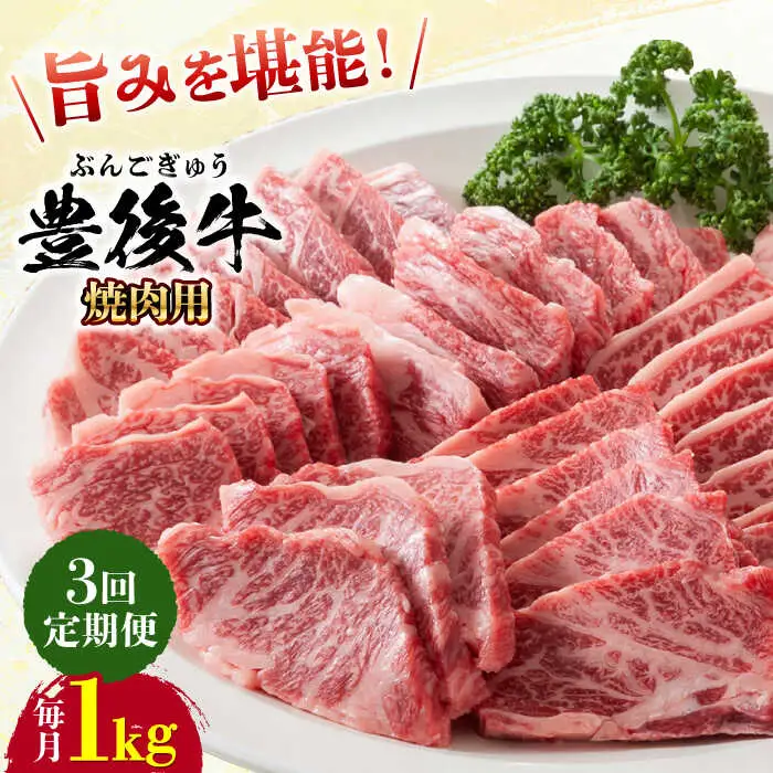 【全3回定期便】おおいた豊後牛 焼肉用 1kg(500g×2P) 赤身 モモ 焼肉  冷凍 豊後牛 BBQ [AREI101]