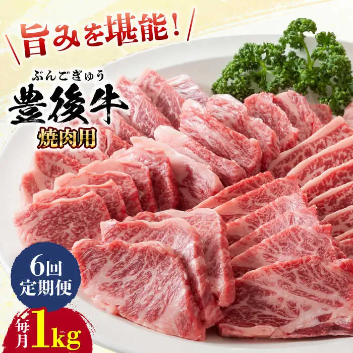 【全6回定期便】おおいた豊後牛 焼肉用 1kg(500g×2P) 赤身 モモ 焼肉  冷凍 豊後牛 BBQ [AREI102]