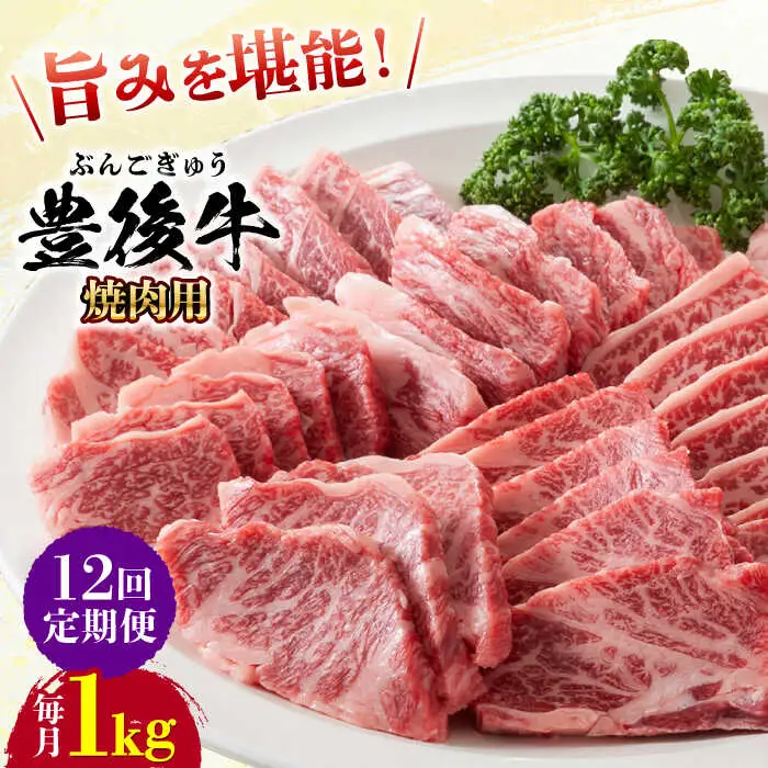【全12回定期便】おおいた豊後牛 焼肉用 1kg(500g×2P) 赤身 モモ 焼肉  冷凍 豊後牛 BBQ [AREI103]