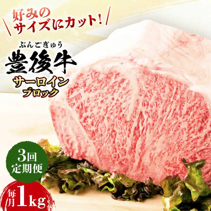 【全3回定期便】【厳選部位】おおいた豊後牛 サーロイン ブロック 1kg 日田市 黒毛和牛 牛肉 サーロイン 豊後牛 サーロインブロック[AREI104]