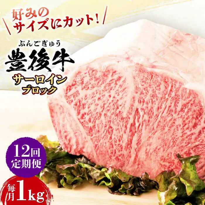 【全12回定期便】【厳選部位】おおいた豊後牛 サーロイン ブロック 1kg 日田市 黒毛和牛 牛肉 サーロイン 豊後牛 サーロインブロック [AREI106]