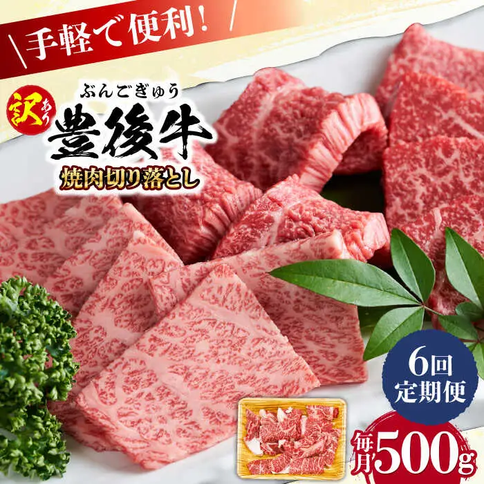 【全6回定期便】【訳あり】おおいた豊後牛 焼肉 切り落とし 500g 豊後牛 牛肉 焼肉 切り落とし 大分 冷凍 訳あり[AREI132]