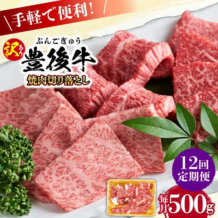 【全12回定期便】【訳あり】おおいた豊後牛 焼肉 切り落とし 500g 豊後牛 牛肉 焼肉 切り落とし 大分 冷凍 訳あり [AREI133]