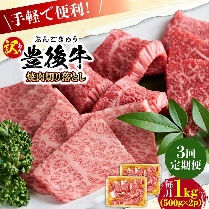 【全3回定期便】【訳あり】おおいた豊後牛 焼肉 切り落とし 1kg(500g×2P) 豊後牛 牛肉 焼肉 切り落とし 大分 冷凍 訳あり [AREI134]