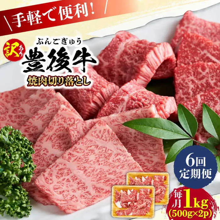 【全6回定期便】【訳あり】おおいた豊後牛 焼肉 切り落とし 1kg(500g×2P) 豊後牛 牛肉 焼肉 切り落とし 大分 冷凍 訳あり [AREI135]