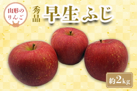 【2026年発送】「秀品」山形のりんご（早生ふじ）約2kg_H212(R8)