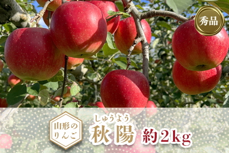 【2026年発送】「秀品」山形のりんご（秋陽）約2kg_H214(R8)