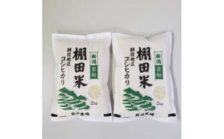 【令和7年産米】新潟県岩船産 棚田米コシヒカリ 4kg（2kg×2袋）1067084