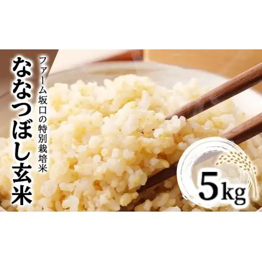 令和7年産！ファーム坂口の特別栽培米 ななつぼし玄米 5kg
