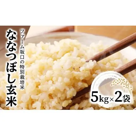 令和7年産！ファーム坂口の特別栽培米 ななつぼし玄米 10kg (5kg×2袋)