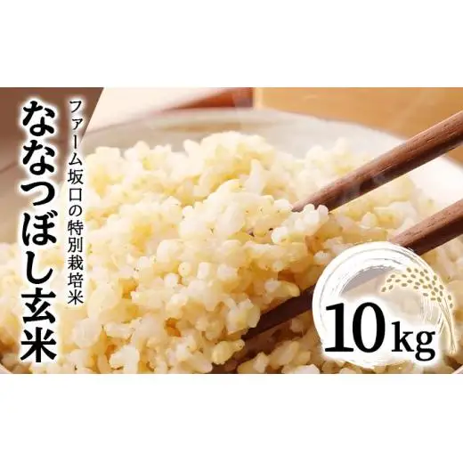令和7年産！ファーム坂口の特別栽培米 ななつぼし玄米 10kg (10kg×1袋)