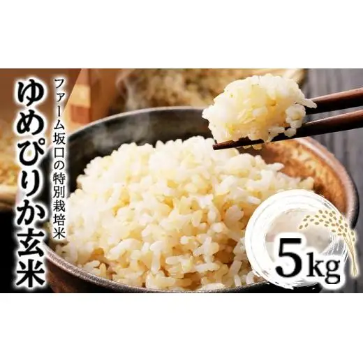 【玄米】《令和 7 年産》お米 ゆめぴりか玄米 5kg｜米 北 海道 岩見沢市 ファーム坂口の特別栽培米