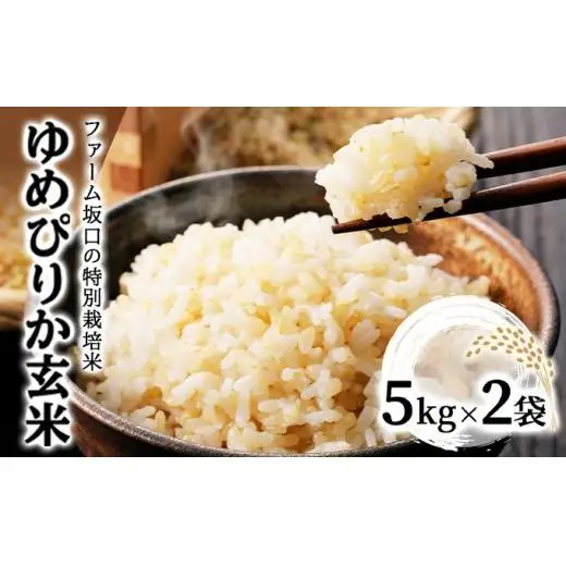 【玄米】《令和 7 年産》お米 ゆめぴりか玄米 10kg(5kg×2袋)｜米 北 海道 岩見沢市 ファーム坂口の特別栽培米