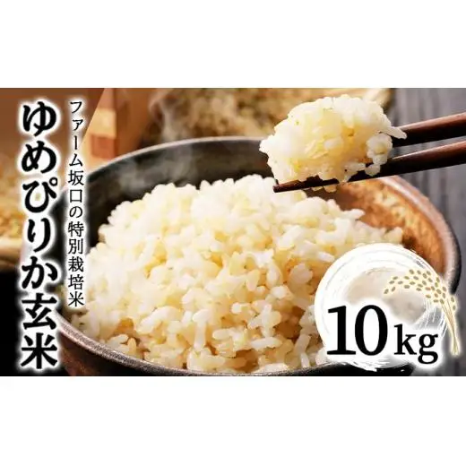 【玄米】《令和 7 年産》お米 ゆめぴりか玄米 10kg(10kg×1袋)｜米 北 海道 岩見沢市 ファーム坂口の特別栽培米