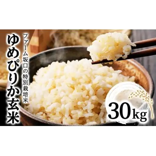 【玄米】《令和 7 年産》お米 ゆめぴりか玄米 30kg(30kg×1袋)｜米 北 海道 岩見沢市 ファーム坂口の特別栽培米