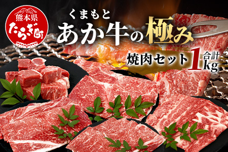 8月終了【エシカル和牛】あか牛の極み  焼肉セット (モモ・カルビ・煮込用) 【1kg】 033-0504