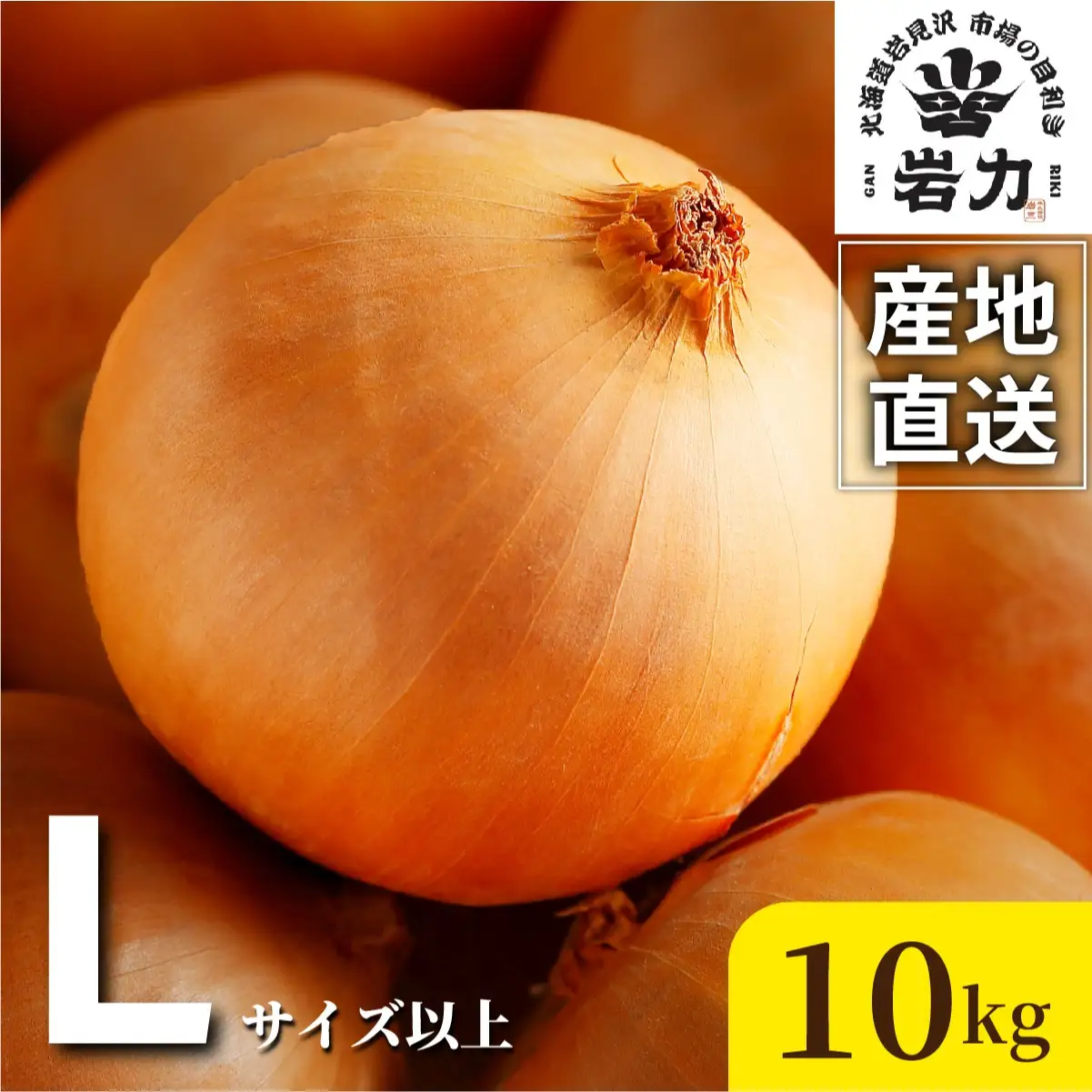 北海道岩見沢産たまねぎ 10kg (市場の目利き・岩力ブランド)【a142-006】