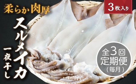 【毎月_定期便 全3回】日本海産柔らか肉厚のスルメイカ一夜干し(大)3枚 全3回　 魚貝類 イカ いか スルメイカ お酒 つまみ 特大 新鮮 保存 冷凍 国産 酒の肴 酒のつまみ myz02 myz10 myz11 myz17