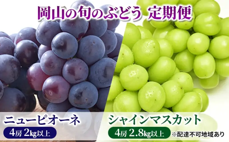 フルーツ 定期便 【2026年 先行予約】 ニュー ピオーネ 4房2kg以上 シャインマスカット 4房2.8kg以上 岡山県産 国産 セット ギフト