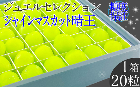 2026年 先行予約受付中 シャインマスカット晴王 ジュエルセレクション 1箱20粒 岡山県産 種無し 皮ごと食べる みずみずしい 甘い フレッシュ 瀬戸内 晴れの国 おかやま 果物大国 ハレノフルーツ
