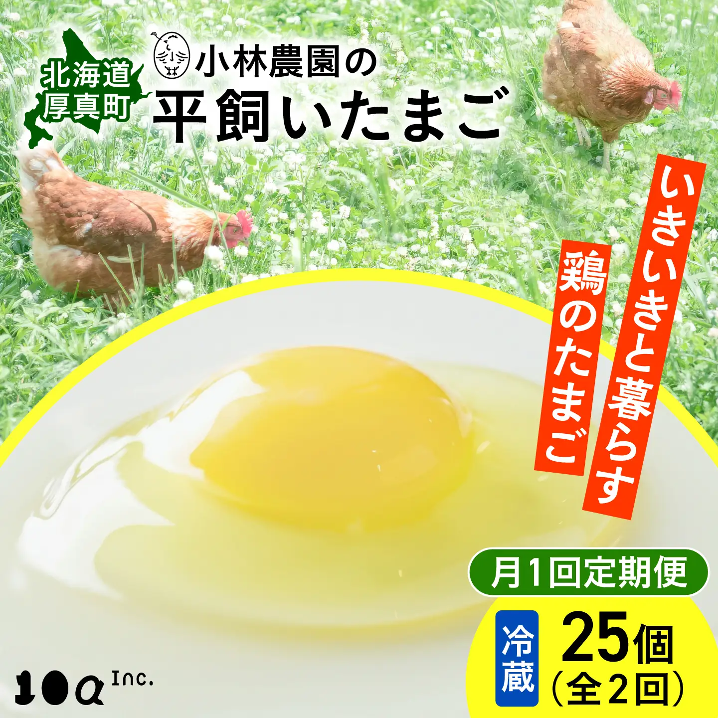 【2ヵ月定期便】小林農園の平飼い有精卵 25個 計50個 冷蔵便 [AXAN090]