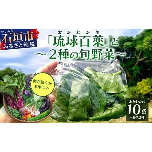＜先行予約＞沖縄の健康長寿の秘訣「琉球百薬（おかわかめ）」10袋と旬の野菜詰め合わせ　OI-24