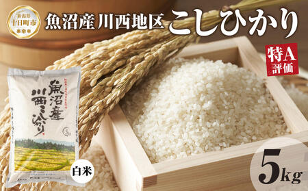 【令和8年産 先行予約】魚沼産 川西 こしひかり 10kg 精米 米 コメ お米 ごはん ご飯 白米 おにぎり 炊き立て ブランド米 コシヒカリ 新潟県産 魚沼 人気 国産 産地直送 お取り寄せ 送料無料 新潟県 十日町