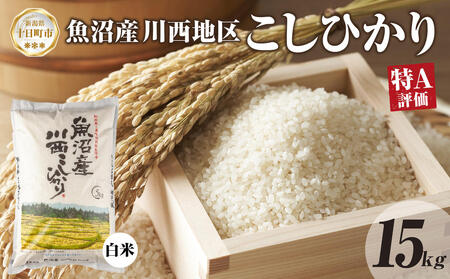 【令和8年産 先行予約】魚沼産 川西 こしひかり 15kg 精米 米 コメ お米 ごはん ご飯 白米 おにぎり 炊き立て ブランド米 コシヒカリ 新潟県産 魚沼 人気 国産 産地直送 お取り寄せ 送料無料 新潟県 十日町