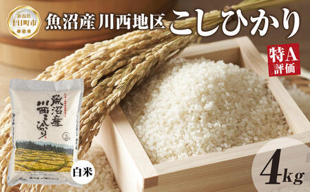 【令和8年産 先行予約】魚沼産 川西 こしひかり 4kg 精米 米 コメ お米 ごはん ご飯 白米 おにぎり 炊き立て ブランド米 コシヒカリ 新潟県産 魚沼 人気 国産 産地直送 お取り寄せ 送料無料 新潟県 十日町