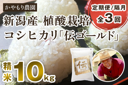 【定期便3回隔月お届け】新潟産コシヒカリ「伝ゴールド」白米真空パック 精米10kg（2kg×5）かやもり農園
