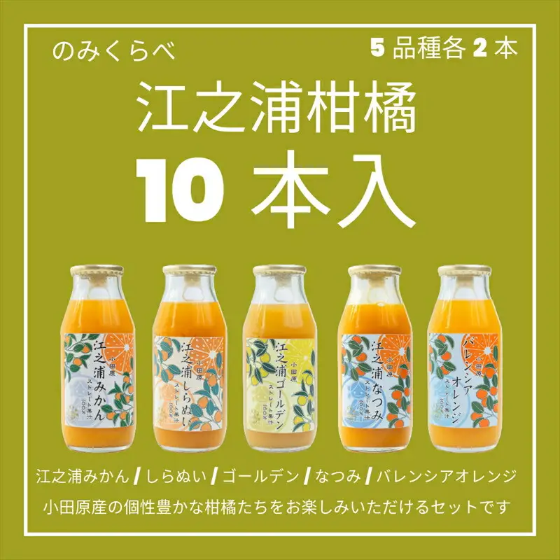 小田原産江之浦みかんジュース５種のみくらべ１０本セット うんしゅう・しらぬい・ゴールデン・なつみ・バレンシアオレンジ１００％ストレートジュース１８０ml各２本合計１０本【みかんジュース みかんジュース 神奈川県 小田原市 】