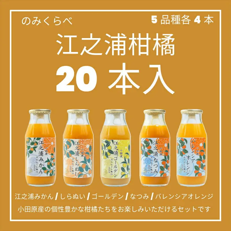小田原産江之浦みかんジュース５種のみくらべ2０本セット うんしゅう・しらぬい・ゴールデン・なつみ・バレンシアオレンジ１００％ストレートジュース１８０ml各４本合計２０本【みかんジュース みかんジュース 神奈川県 小田原市 】