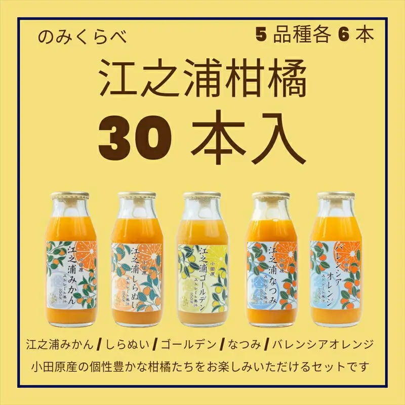 小田原産江之浦みかんジュース５種のみくらべ３０本セット うんしゅう・しらぬい・ゴールデン・なつみ・バレンシアオレンジ１００％ストレートジュース１８０ml各６本合計３０本【みかんジュース みかんジュース 神奈川県 小田原市 】