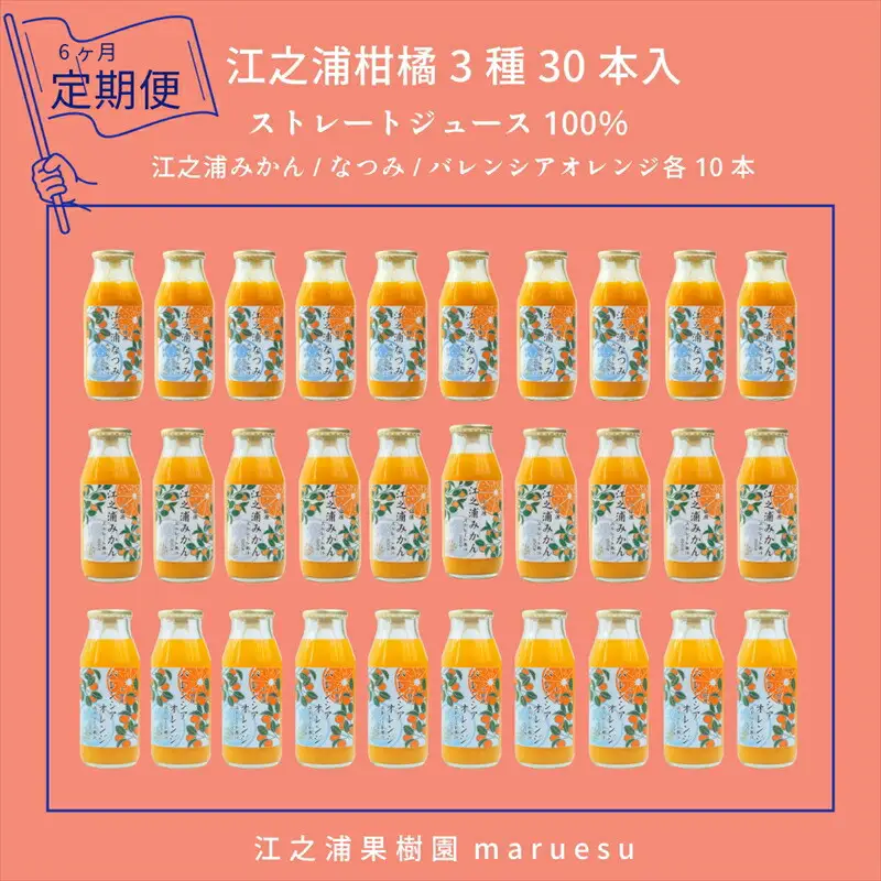 【定期便 6回】 小田原産江之浦みかんジュース３種のみくらべ３０本セット うんしゅう・なつみ・バレンシアオレンジ１００％ストレートジュース１８０ml各１０本合計３０本【みかんジュース みかんジュース 神奈川県 小田原市 】